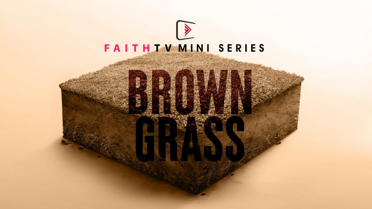 Brown Grass